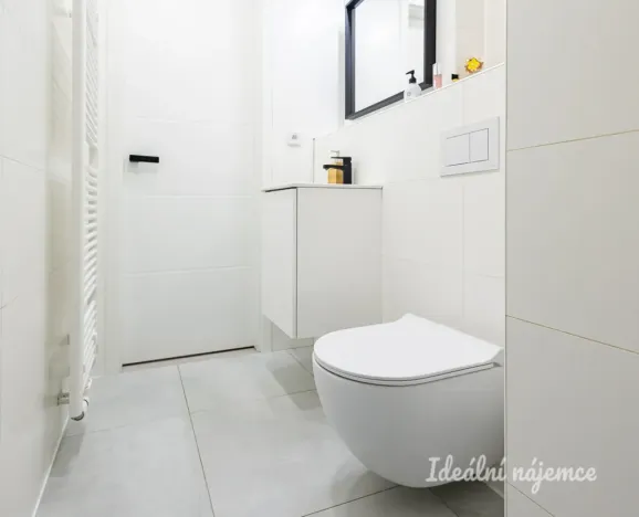 Pronájem bytu 1+kk, Praha - Vinohrady, Perucká, 25 m2