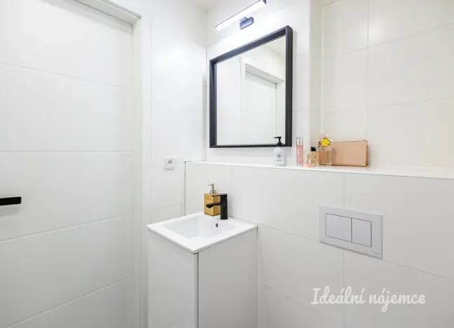 Pronájem bytu 1+kk, Praha - Vinohrady, Perucká, 25 m2