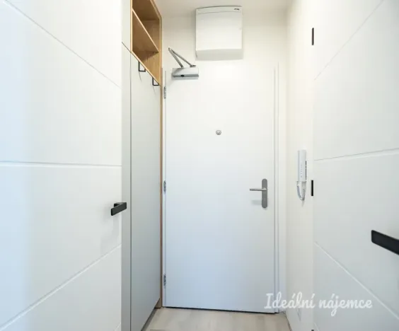 Pronájem bytu 1+kk, Praha - Vinohrady, Perucká, 25 m2