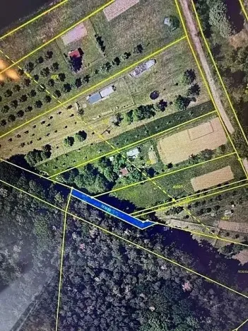 Prodej lesa, Březolupy, 245 m2