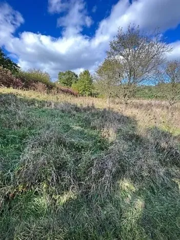 Prodej lesa, Březolupy, 245 m2