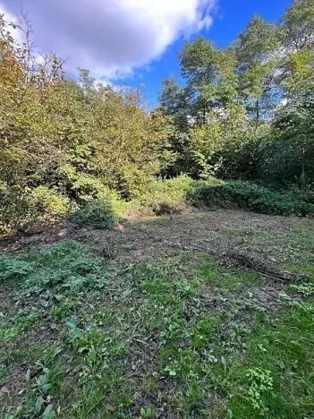 Prodej lesa, Březolupy, 245 m2