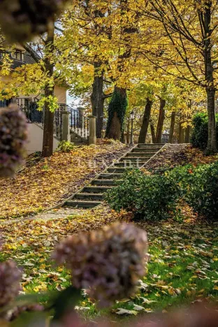 Prodej domu, Trnová, 1585 m2