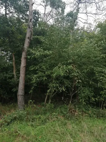 Prodej pozemku pro bydlení, Hradištko, Na Vrcholu, 1486 m2