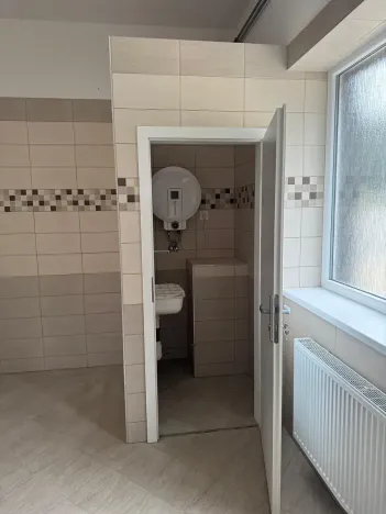 Pronájem skladu, Ostrov, 130 m2