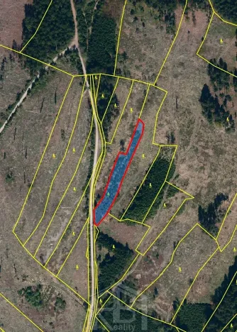 Prodej lesa, Jihlávka, 10463 m2