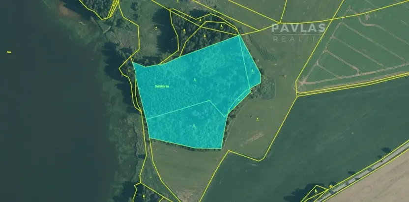 Prodej lesa, Jindřichův Hradec, 32504 m2