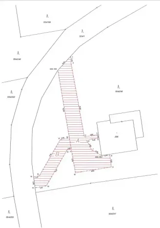 Prodej lesa, Slapy, 4059 m2