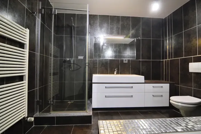 Pronájem bytu 3+kk, České Budějovice, Plachého, 90 m2