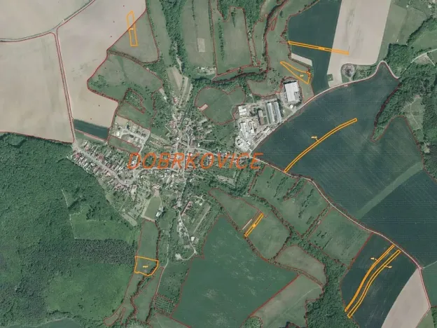 Dražba pole, Dobrkovice, 30944 m2