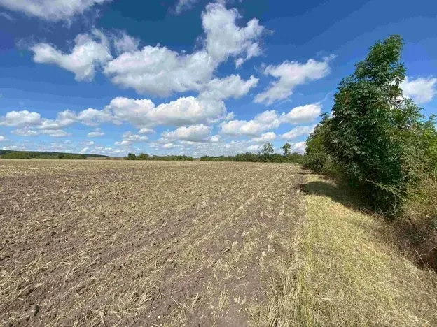 Dražba pole, Nový Bydžov, 1857 m2