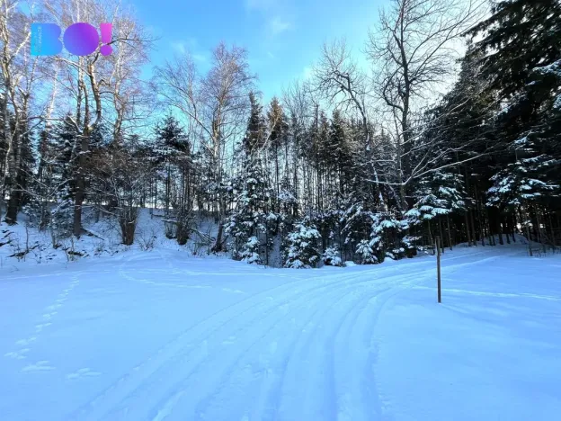 Prodej lesa, Žďár nad Sázavou - Stržanov, 43856 m2