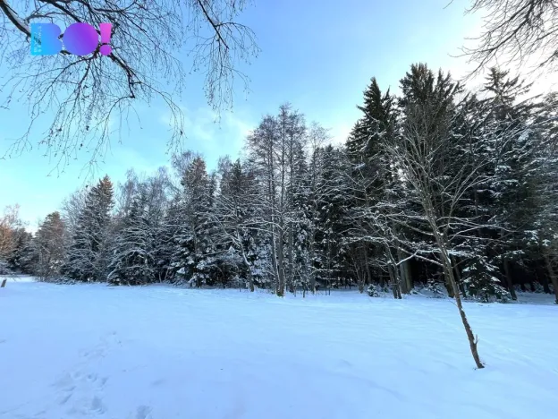 Prodej lesa, Žďár nad Sázavou - Stržanov, 43856 m2