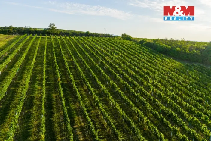 Prodej pole, Šardice, 56699 m2