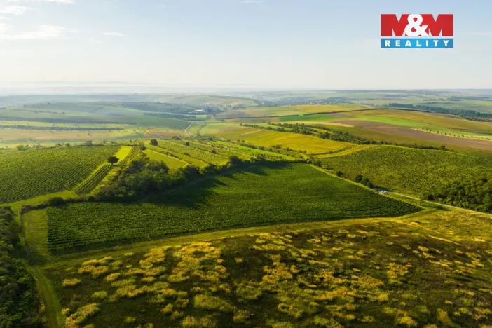 Prodej pole, Šardice, 56699 m2