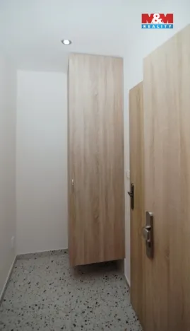 Prodej bytu 1+kk, Ostrava - Moravská Ostrava, Ahepjukova, 25 m2