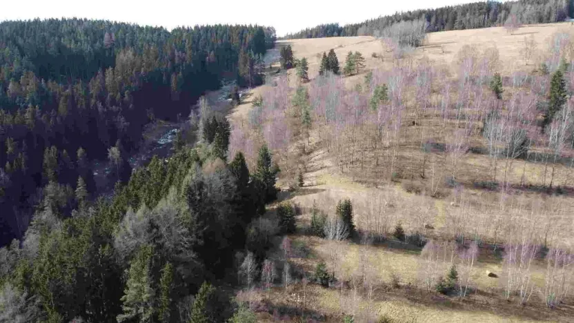 Prodej pole, Kraslice, 3869 m2