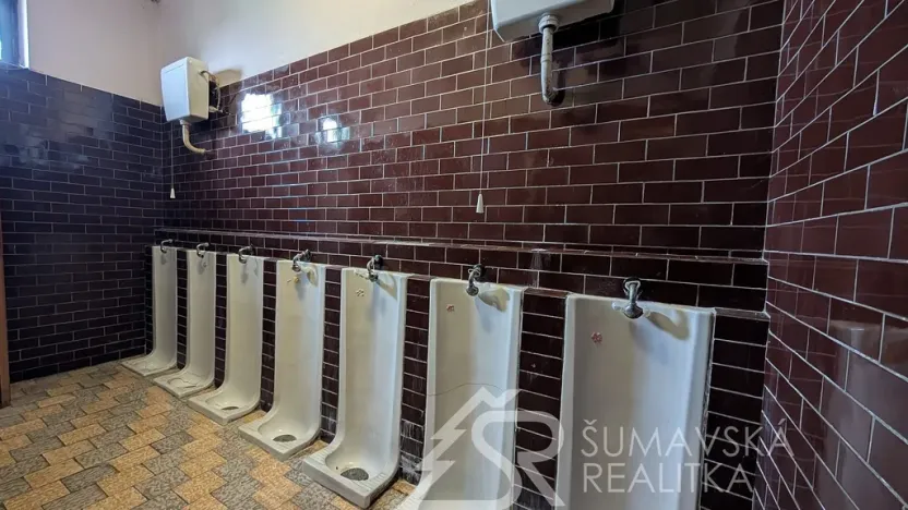 Prodej obchodního prostoru, Předslav, 494 m2