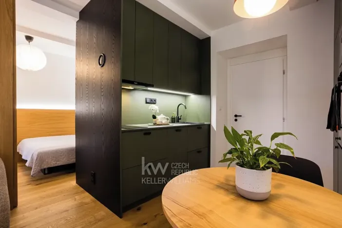 Pronájem bytu 2+kk, Praha - Dejvice, Studentská, 38 m2