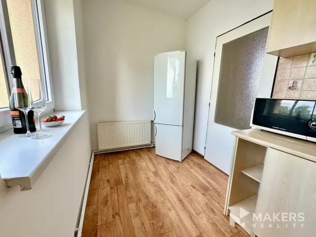 Pronájem bytu 1+1, Praha - Žižkov, U kněžské louky, 70 m2