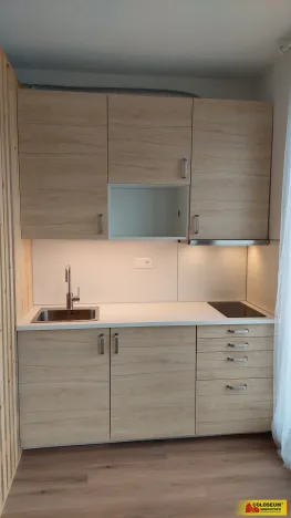 Pronájem bytu 1+kk, Brno - Staré Brno, 27 m2