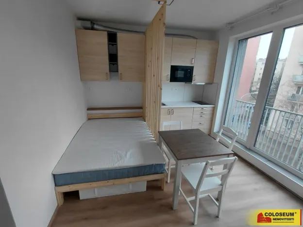 Pronájem bytu 1+kk, Brno - Staré Brno, 27 m2