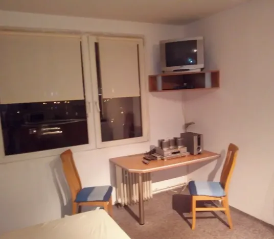 Prodej bytu 1+kk, Plzeň, Sousedská, 20 m2