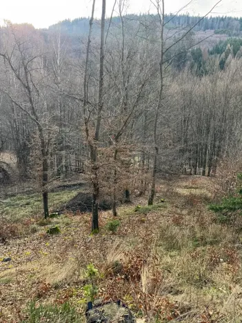 Prodej lesa, Huslenky, 11045 m2