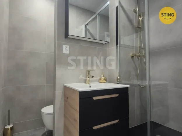 Pronájem bytu 1+1, Ostrava, Proskovická, 40 m2