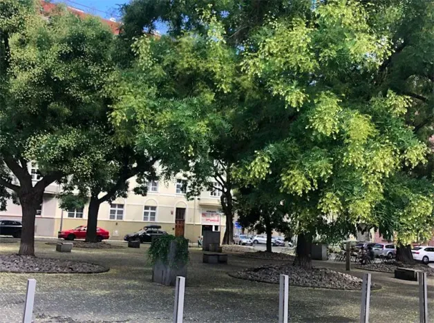 Pronájem bytu 2+kk, Praha - Holešovice, 48 m2