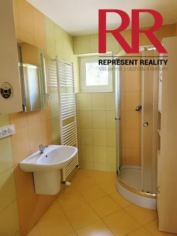 Pronájem obchodního prostoru, Plzeň, Mezi Ploty, 160 m2