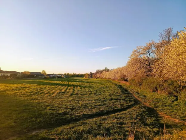 Prodej rodinného domu, Srubec, U Školky, 155 m2