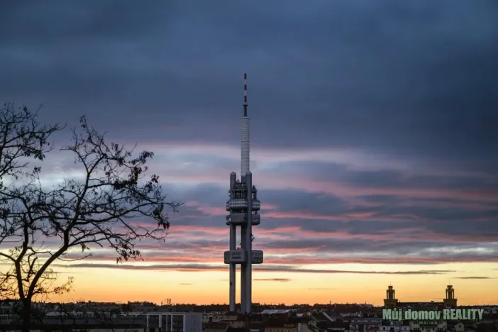 Prodej bytu 2+kk, Praha - Žižkov, Jana Želivského, 44 m2