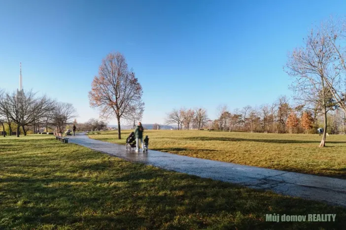 Prodej bytu 2+kk, Praha - Žižkov, Jana Želivského, 44 m2