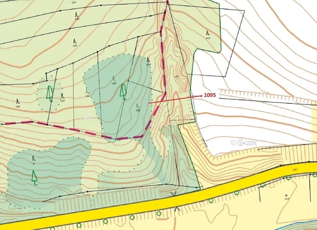 Dražba lesa, Mladoňovice, 1427 m2