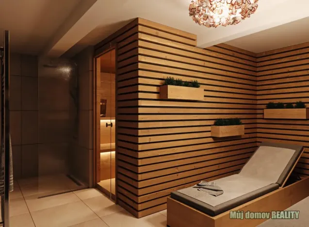 Prodej bytu 2+kk, Praha - Břevnov, Pod Drinopolem, 53 m2