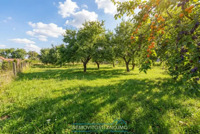 Prodej rodinného domu, Pavlov, Družstevní, 284 m2