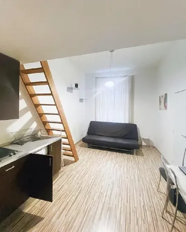 Pronájem bytu 1+kk, Praha - Holešovice, Na Maninách, 25 m2