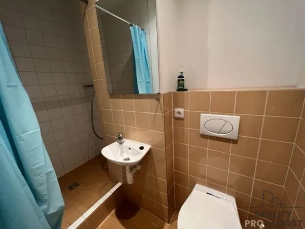 Pronájem bytu 1+1, Hodonín, Pančava, 14 m2