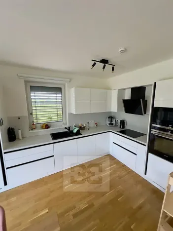 Pronájem rodinného domu, Zlonín, Borová, 198 m2