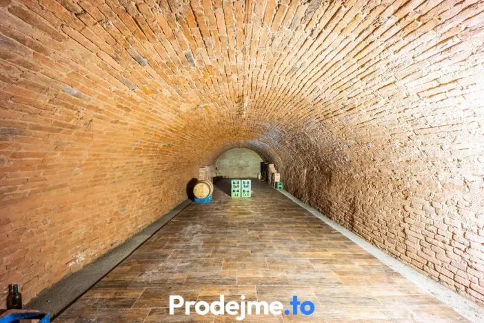 Prodej - jiné, Dyjákovice, 182 m2