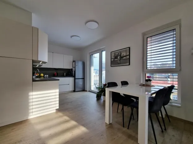 Pronájem bytu 2+kk, Liberec - Liberec III-Jeřáb, U Nisy, 65 m2