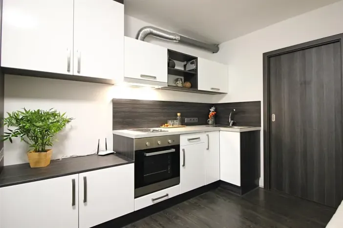 Pronájem bytu 1+kk, Brno, Jeneweinova, 36 m2