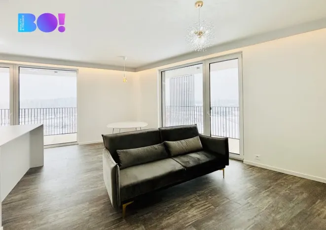 Pronájem bytu 2+kk, Ostrava, F. X. Riepla, 54 m2