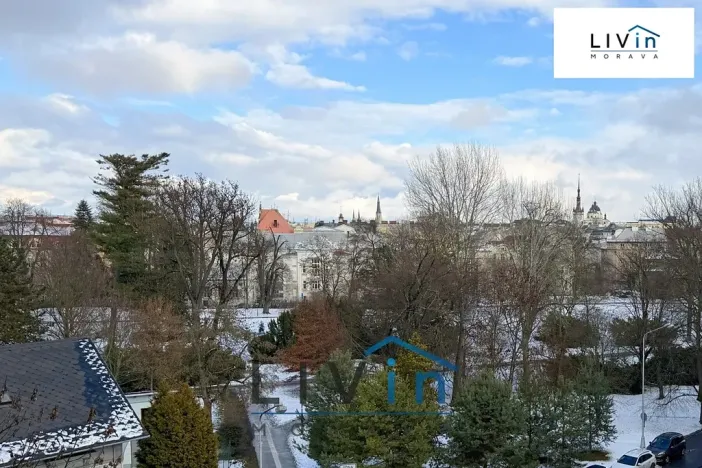 Pronájem kanceláře, Olomouc, Karolíny Světlé, 20 m2