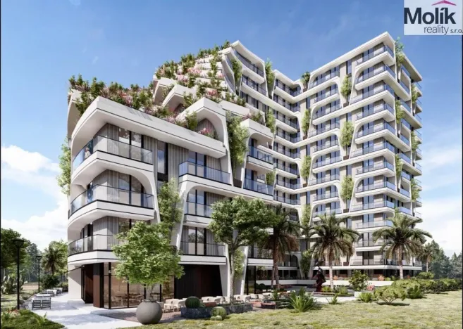 Prodej bytu 2+kk, Golem, 62 m2