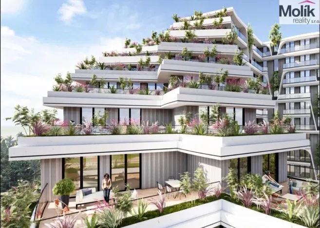 Prodej bytu 2+kk, Golem, 62 m2