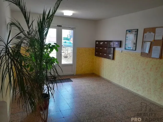 Pronájem bytu 1+1, Znojmo, Palackého, 32 m2