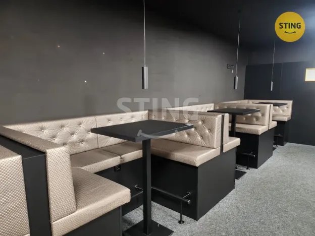 Pronájem komerční nemovitosti, Přerov, Wilsonova, 210 m2