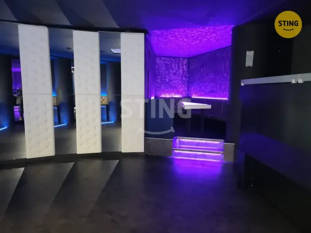 Pronájem komerční nemovitosti, Přerov, Wilsonova, 210 m2